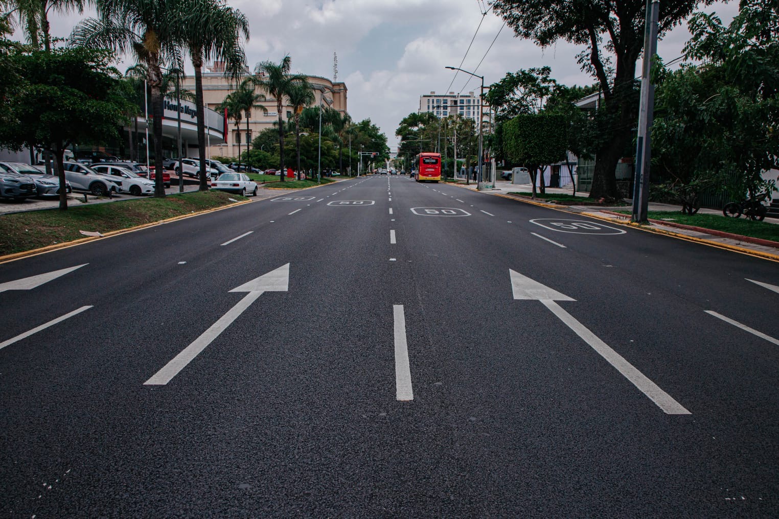 Avenida Ignacio L. Vallarta rehabilitada en Guadalajara, con señalamiento horizontal y carriles renovados