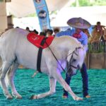 Jinete presenta un caballo durante la Feria Internacional del Caballo Aguascalientes 2026 en la Isla San Marcos.
