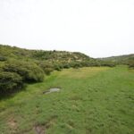 Vista del área natural protegida Cañada Bolaños, conocida como El Tlacuache, en Querétaro.