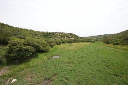 Vista del área natural protegida Cañada Bolaños, conocida como El Tlacuache, en Querétaro.