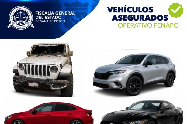 Gráfico de la Fiscalía General del Estado de San Luis Potosí sobre vehículos asegurados durante el operativo de la Fenapo.