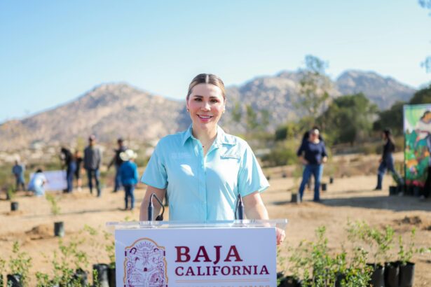 Marina del Pilar Avila Olmeda encabeza una jornada de reforestación en el Ejido Juntas de Nejí, en Tecate.