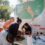 Personal veterinario atiende a un perro durante una jornada móvil de Bienestar Animal en Guadalajara.