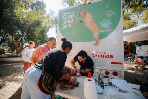 Personal veterinario atiende a un perro durante una jornada móvil de Bienestar Animal en Guadalajara.