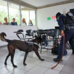 Binomio canino y elemento de la Policía de San Pedro durante un operativo preventivo en el Centro Escolar Gante.