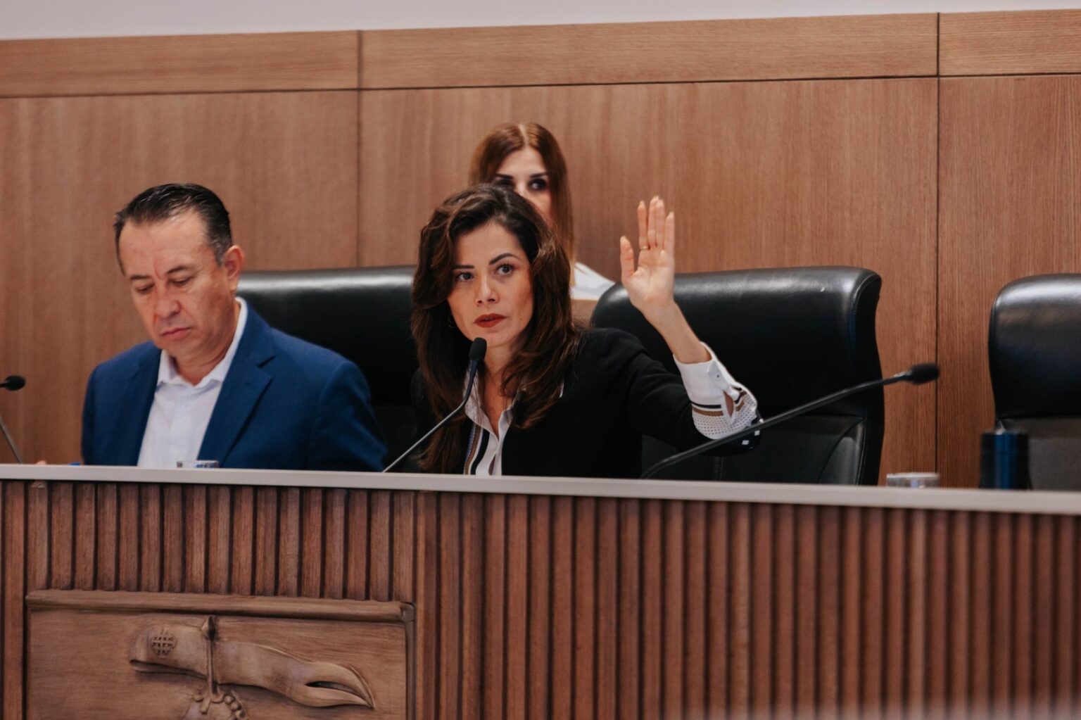 Sesión del Ayuntamiento de Guadalajara durante la votación de una propuesta para ampliar el programa de apoyo al acceso y calidad del agua
